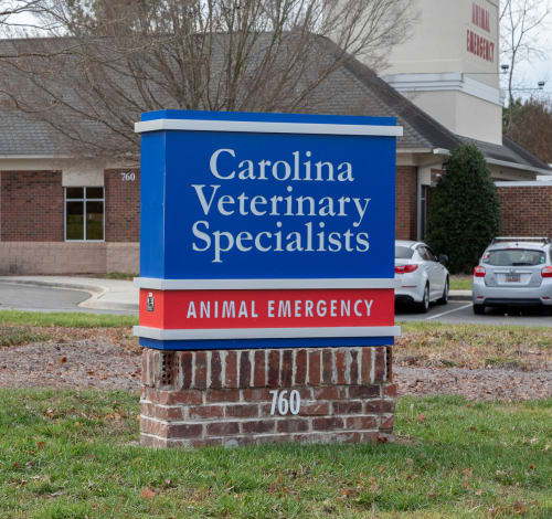 About Us, Carolina Veterinary Specialists in Rock Hill