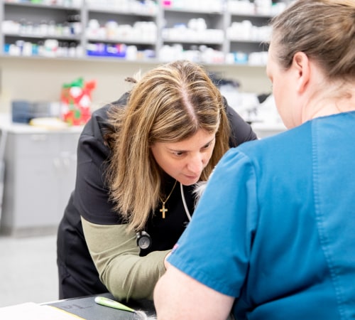 Pet Emergency, Carolina Veterinary Specialists in Rock Hill