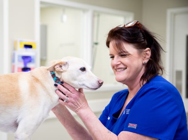 Buy Cvs Pet Clinic Near Me | UP TO 50% OFF Buy Cvs Pet Clinic Near Me | UP TO 50% OFF