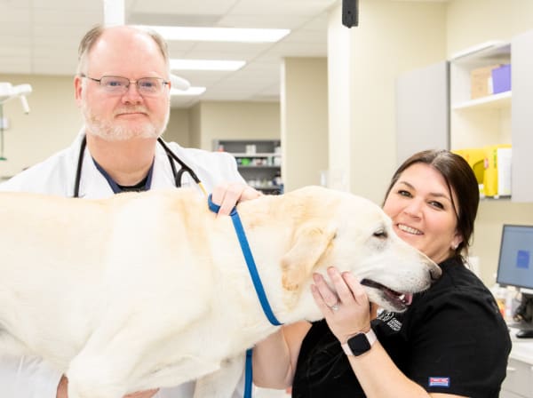 Specialists | Carolina Veterinary Specialists | Rock Hill Speciality & Emergency Vet