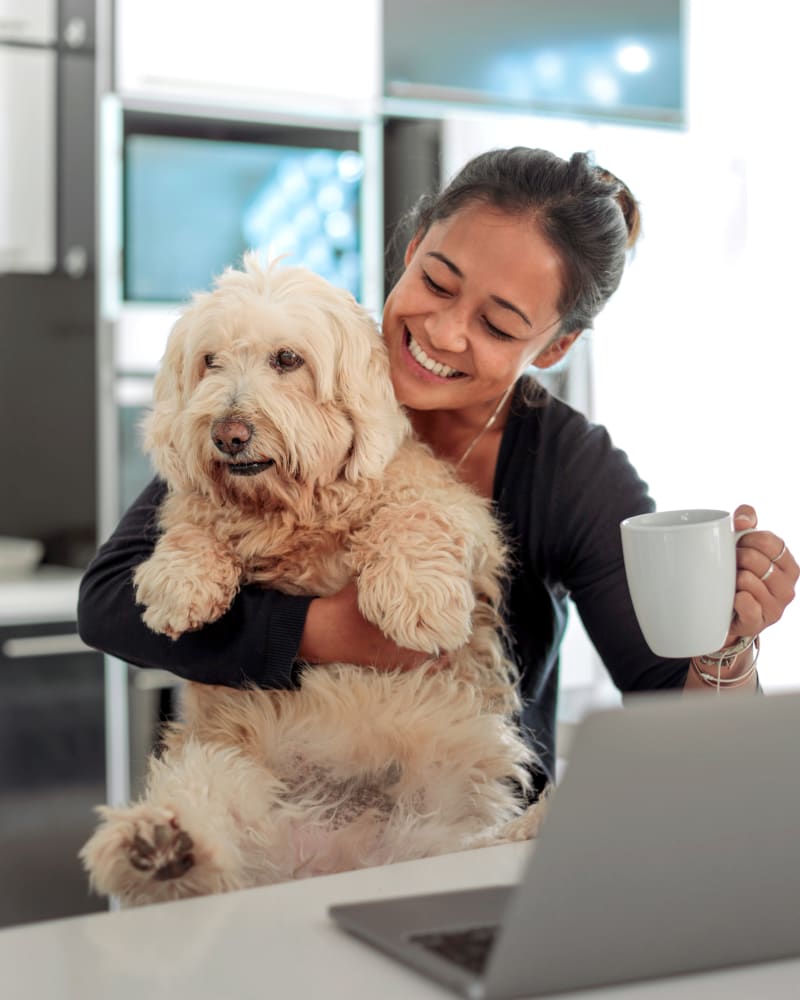 Veterinary Neurology in Rock Hill